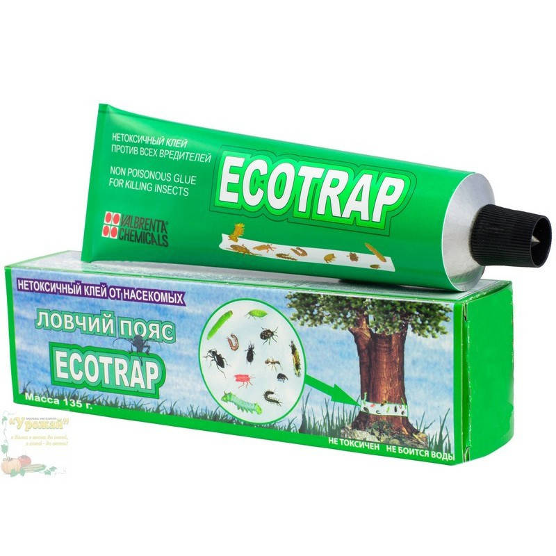

Клей для защиты деревьев от вредителей ECOTRAP