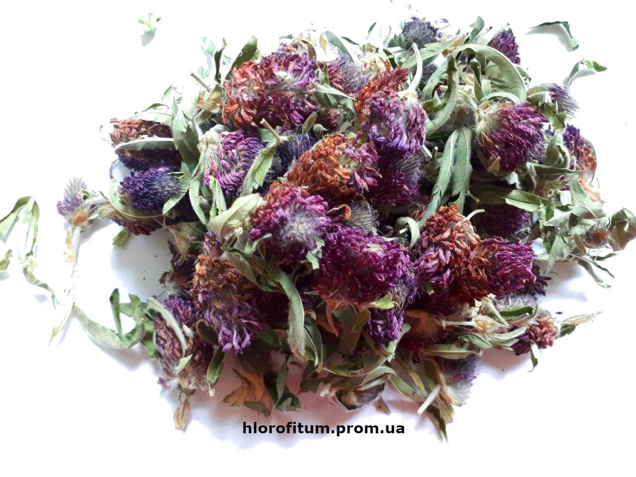 

Клевер луговой (Trifolium pratense), цветки 50 грамм