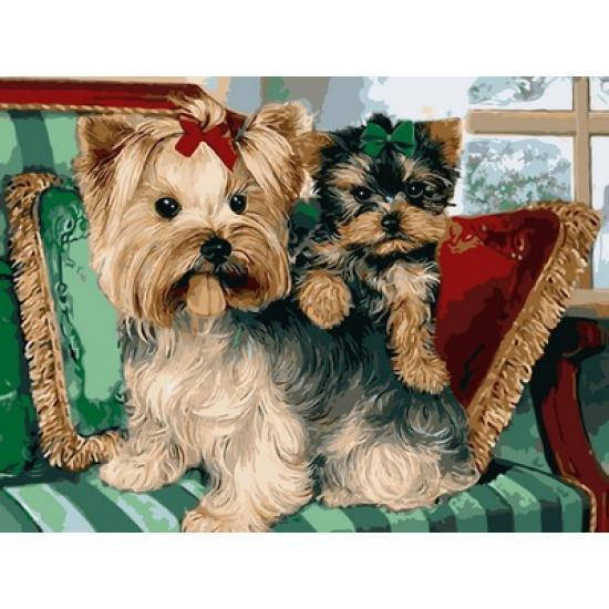 

Картина по номерам Забавные йорки 30 х 40 см (VK204)