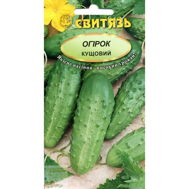 

Семена огурец Кустовой, 1 г
