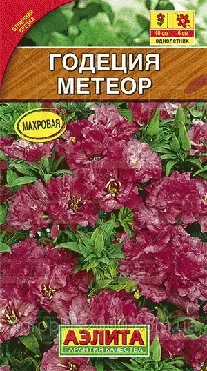 

Семена Годеция Крупноцветковая Метеор 0,3 грамма Аэлита, Фиолетовый