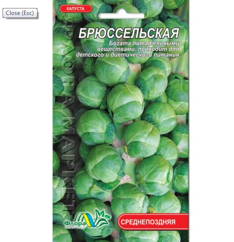 

Семена Капуста Брюссельская 0.5 г