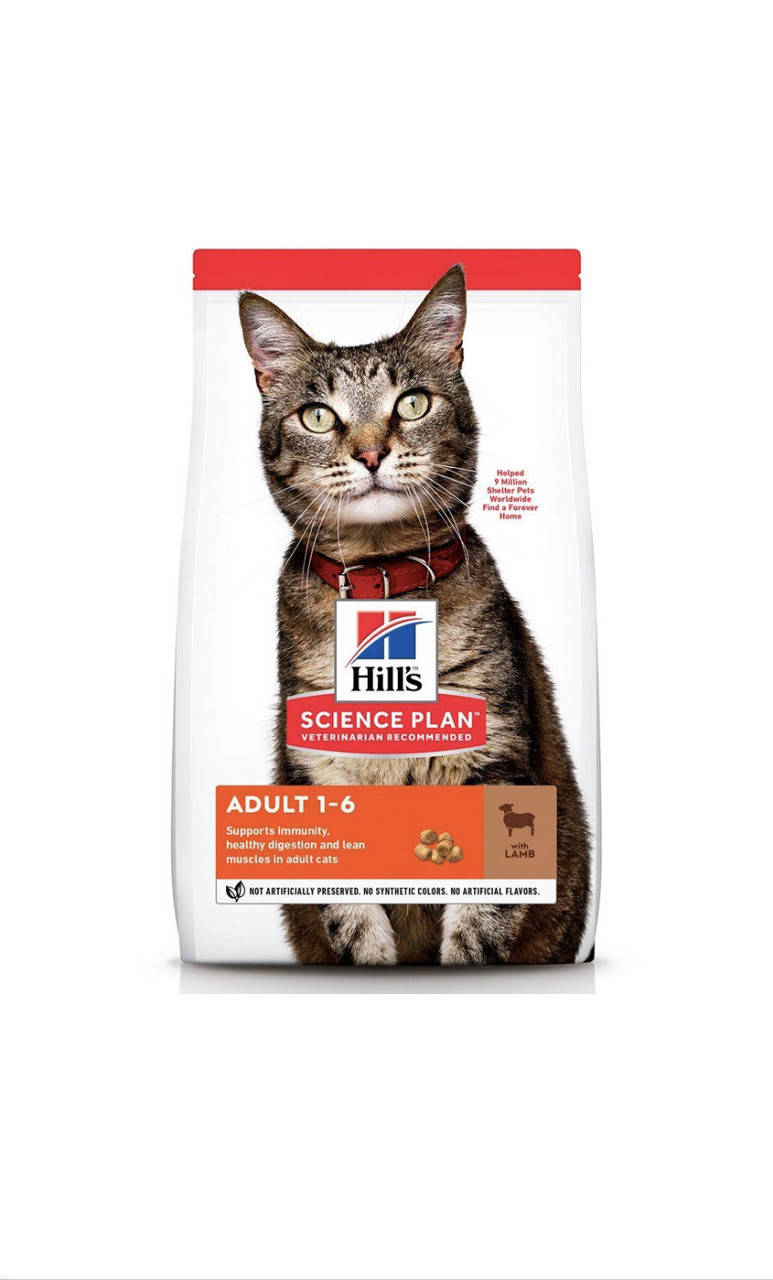 

HILLS SP Fel Adult Ch-Доросла кішка/ягня-1,5 кг