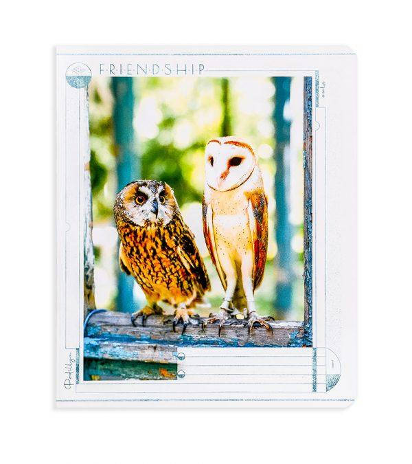 

Зошит 12арк. лін. "З другом веселіше" №21219/Поділля/(25)(400)