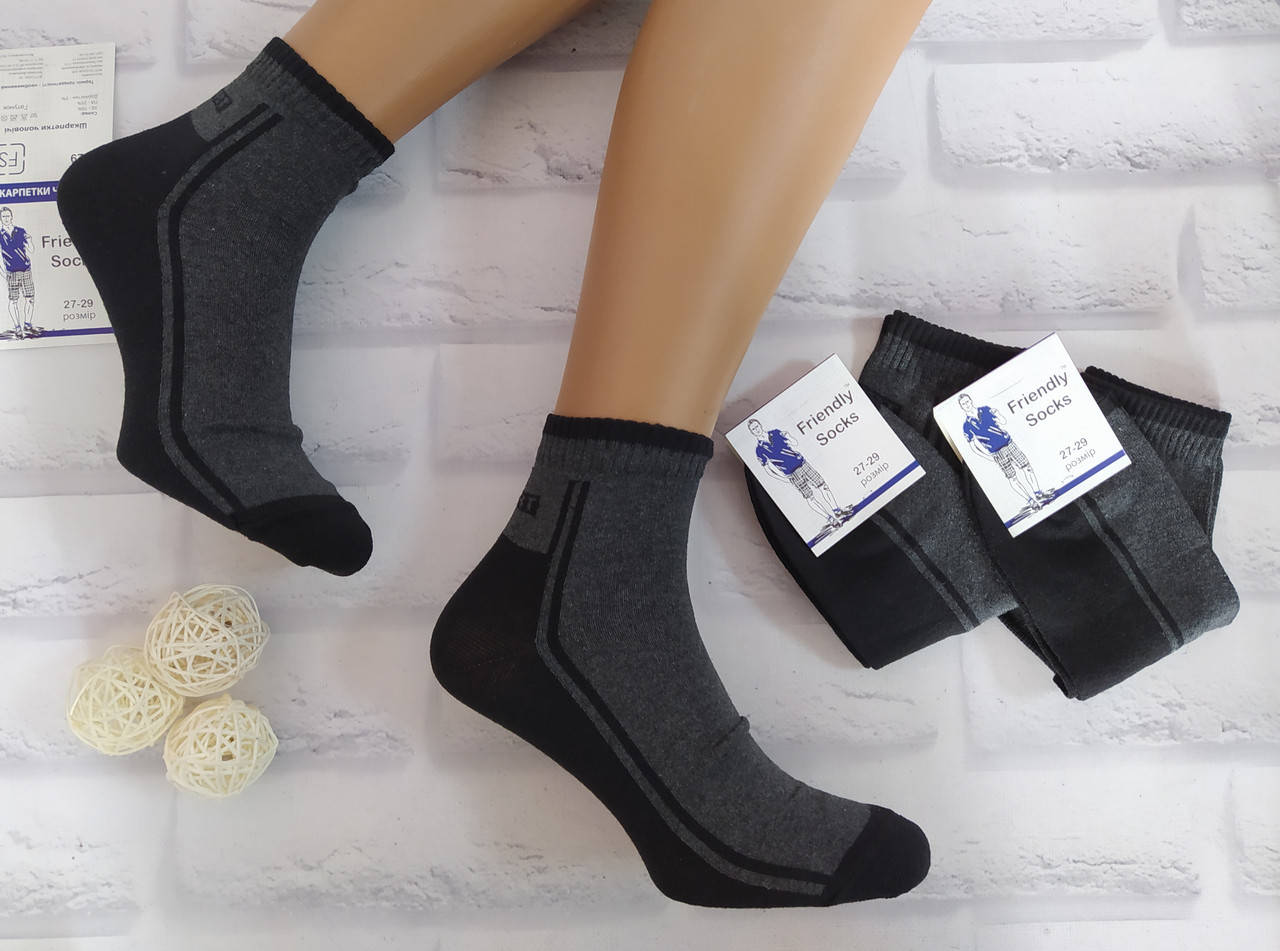 

Носки мужские р. 27-29 Friendi Socks за 1 пару хлопок 1018