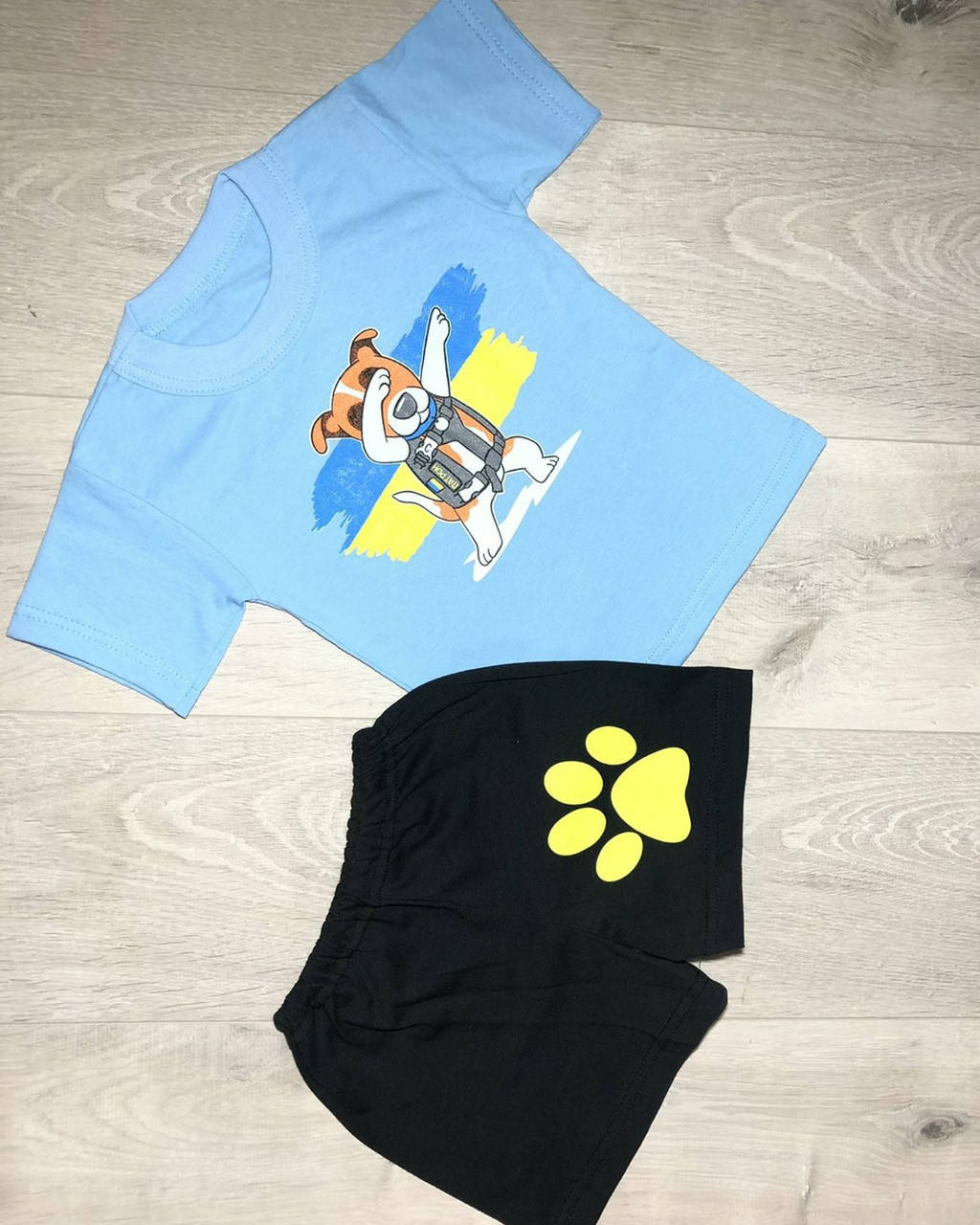 

Футболка Пес патрон шорти костюм дитячий майка