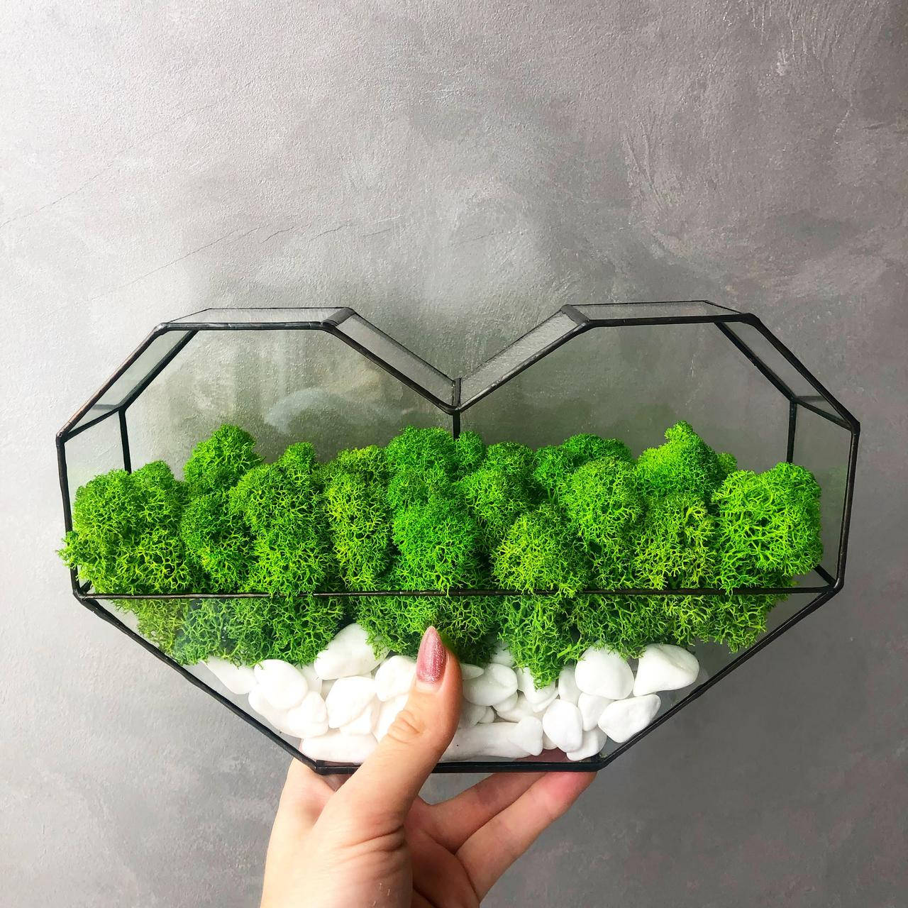 

Моссариум сердце со стабилизированым мхом MiNature Moss