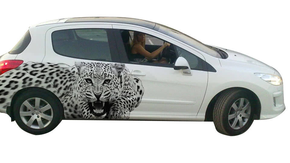 

Наклейка на авто Astart3d Leopard BL 1820х720х0.15мм