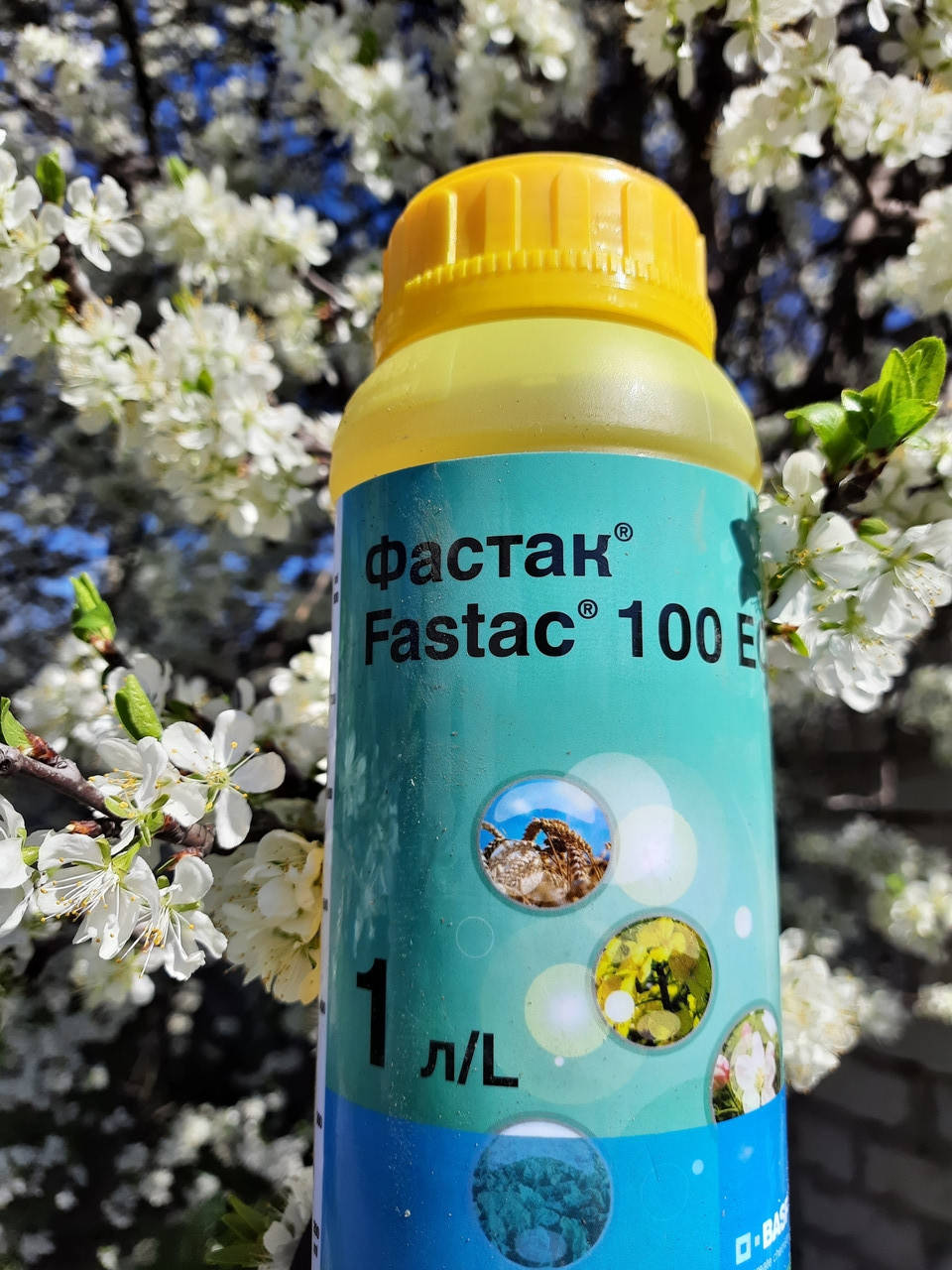 

Инсектицид Фастак, 1л,Оригинал