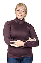 Водолазка тепла жіноча великого розміру Фліс шоколад (42-64)