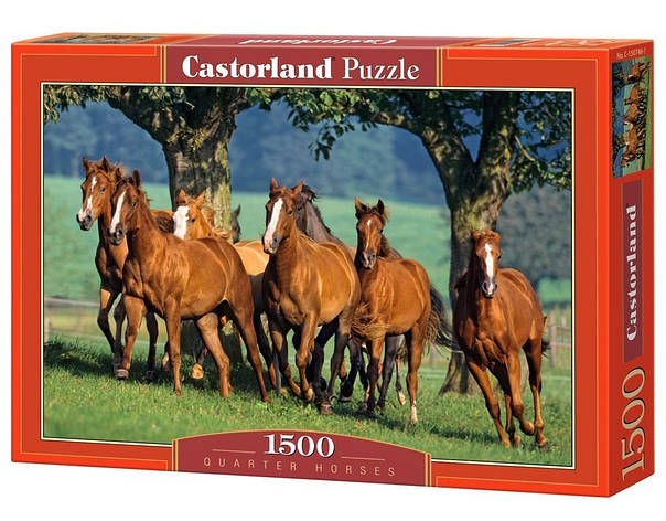 Пазли Табурун коней Castorland 1500 елементів, фото 1