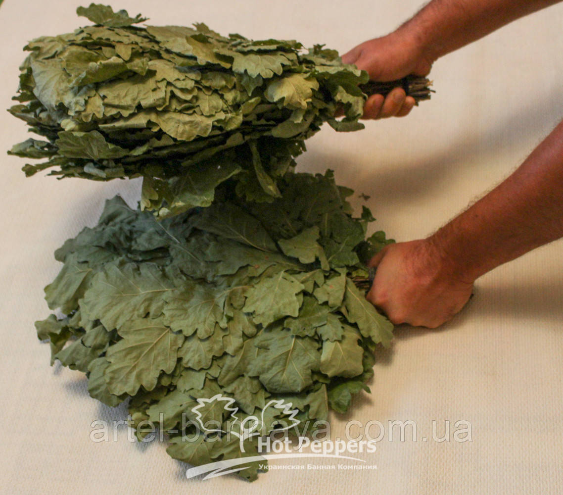 Віник дуб оптом, фото 1