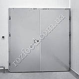 Холодильні двостулкові двері, фото 3