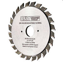 СМТ 289 двокорпусні підрізні пили для форматно-розкрокового верстата