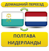 Домашній Переїзд із Полтави в Нідерланди