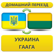 Домашній Переїзд із України в Гаагу