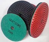 Диск Сraftstone Р700 Черепашка Алмазний полірувальний Р700, фото 2