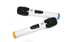 Радіосистема UHF AK-30B PRO 2 бездротових мікрофону