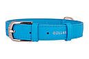 Нашийник шкіра 30-39 см 20 мм Гламур Collar для собак, фото 3