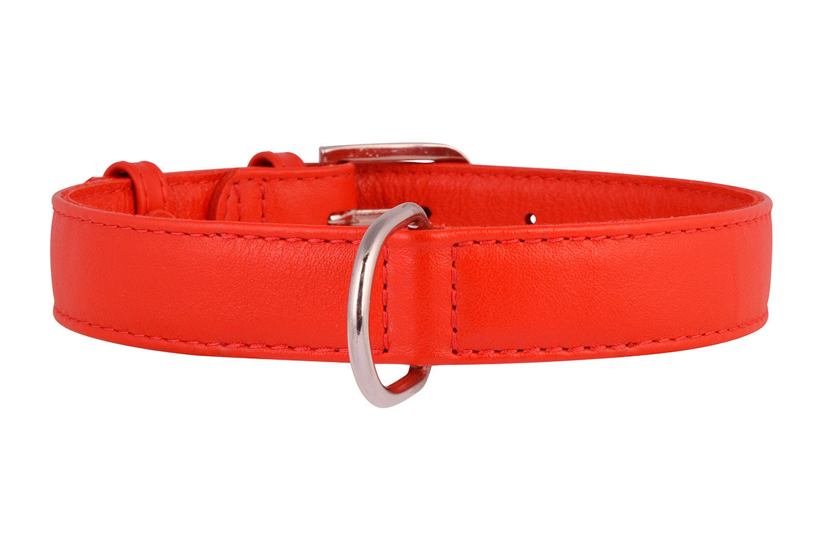 Нашийник шкіра 21-29 см 12 мм Гламур Collar для собак, фото 1