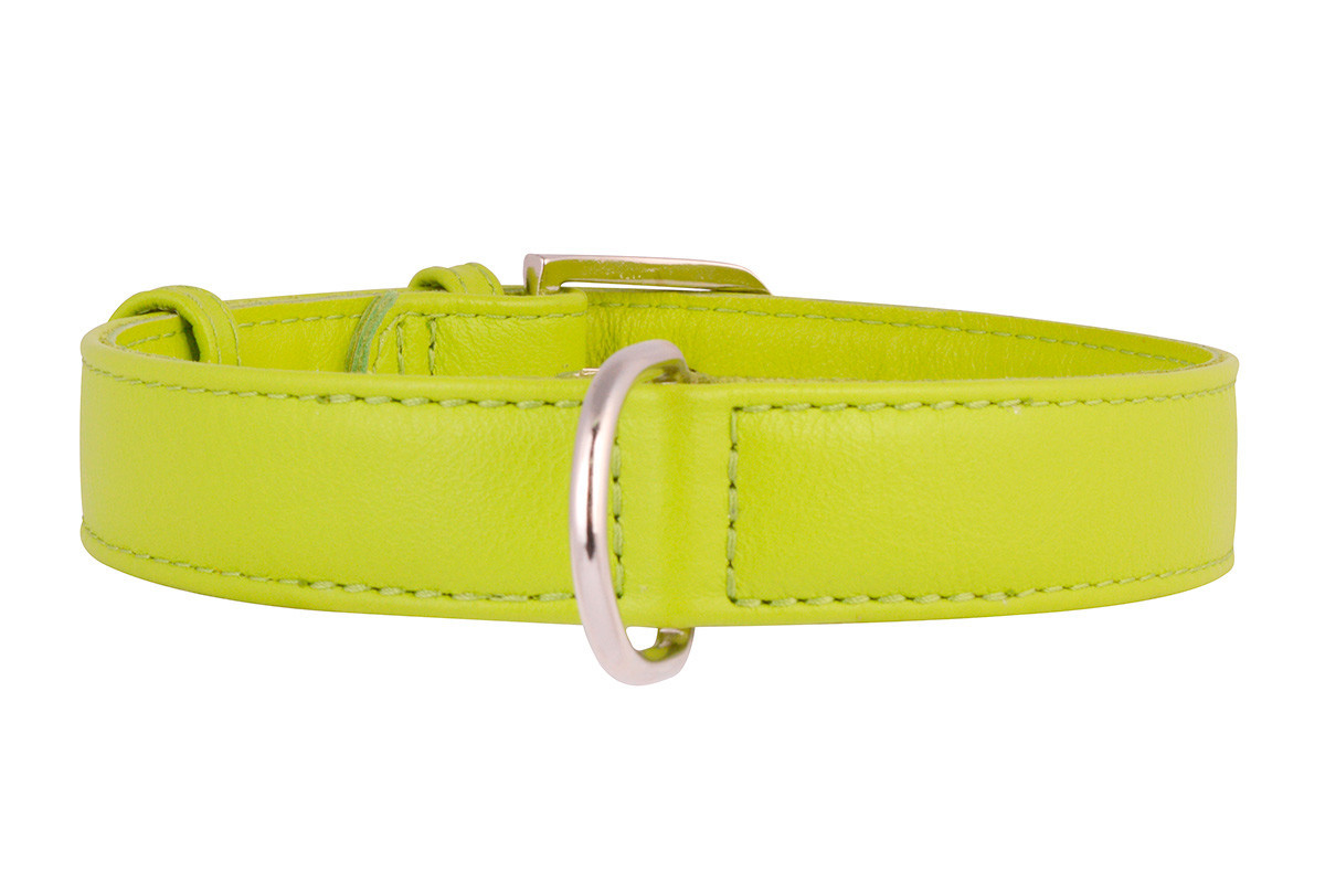 Нашийник шкіра 19-25 см 9 мм Гламур Collar для собак, фото 1