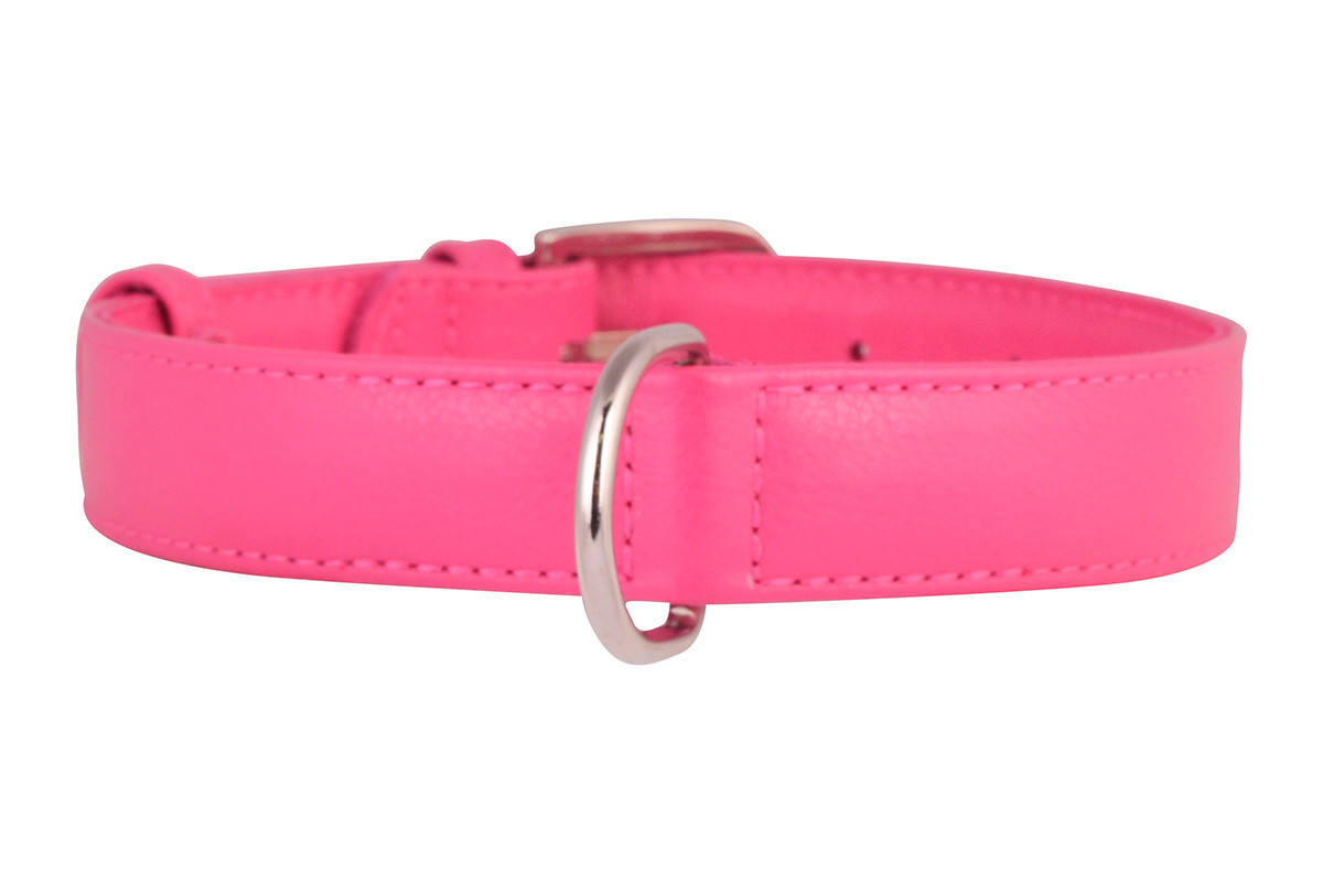 Нашийник шкіра 18-21 см 9 мм Гламур Collar для собак, фото 1