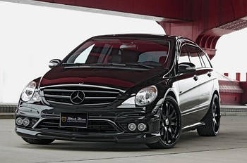 W251 r-class 2006-2013