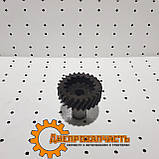 Привод насоса НШ-10 ЮМЗ | Д-65| Д65-1022041-А, фото 5