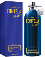 Мужская парфюмированная вода Fon cosmetics Fontela BLUE SPIRIT 100 мл (3541081)