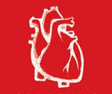 Серцево-судинна система