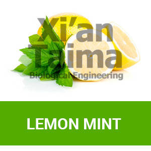 Xi'an Taima "Lemon Mint"
