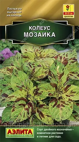 

Семена Колеус Мозаика 10 семян Аэлита, Зелёный
