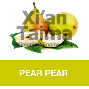Xi'an Taima "Pear Pear"