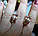 Позолочені сережки з кольоровими фіанітами "Літні" від студії LadyStyle.Biz, фото 9