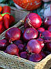 Лук совок червоний Ред Барон TOP Onions Голландія, фото 2
