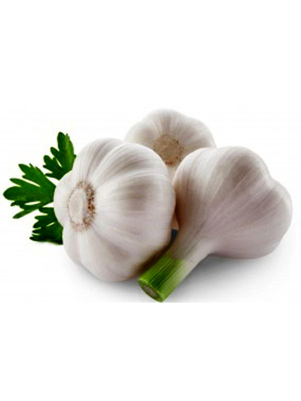 Часник білий Дюшес 1 кг Франція, фото 1