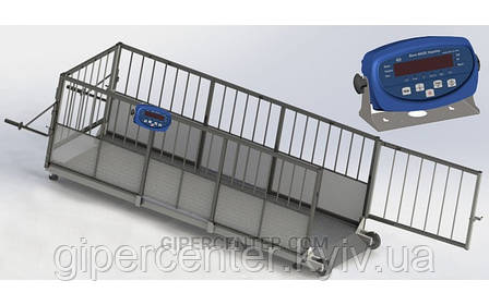 Ваги для зважування USB 4BDU-300X, НПВ: 300 кг, 1500х650х760 мм БЮДЖЕТ, фото 1