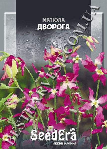 Семена цветов «Маттиола двурогая» 1 грамм | от «Best Harvest»