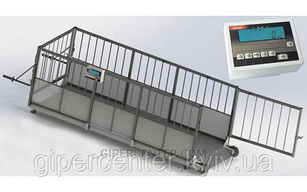 Ваги для зважування USB 4BDU-600X, НПВ: 600 кг, 2000х800х760 мм СТАНДАРТ, фото 1