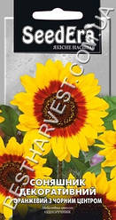 Насіння квітів «Соняшник декоративний» помаранчевий з чорним центром 0.7 м