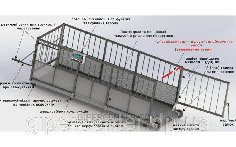 Весы для индивидуального взвешивания свиней 4BDU-600X, НПВ: 600кг, 2000х800х760мм ПРАКТИЧНЫЕ - фото 4 - id-p582952808