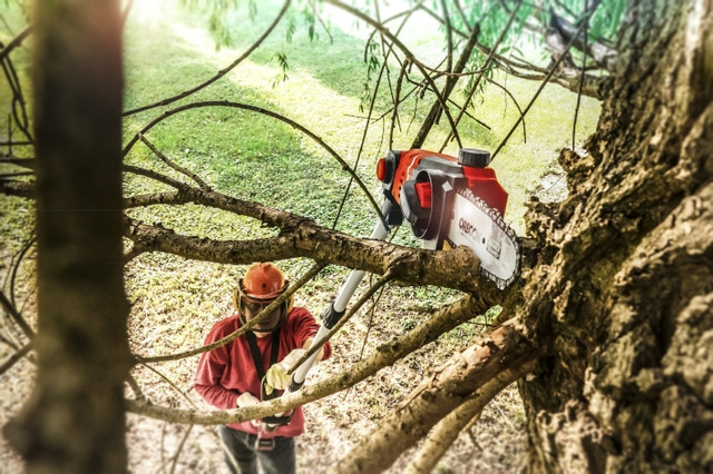 Einhell GE-HC 18 Li T - Solo