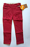 Штани для дівчаток Коттон Червоний Бембі Україна, фото 2