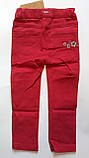 Штани для дівчаток Коттон Червоний Бембі Україна, фото 3