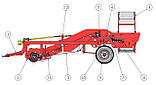 Картоплеубірний комбайн 165NE100-SR. Картоплезбиральний комбайн  165NE100-SR., фото 2