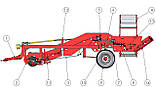 Картоплеубірний комбайн 165NE100-SRR. Картоплезбиральний комбайн  165NE100-SRR., фото 4