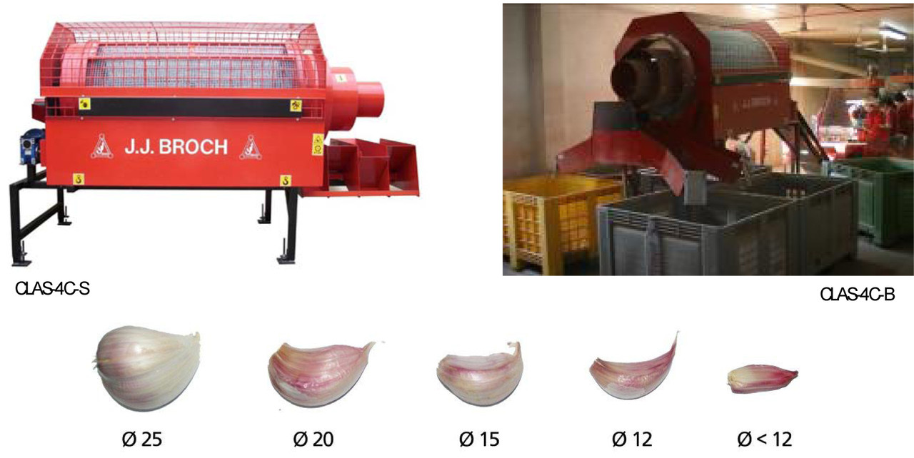 Сортировщик зубков чеснока CLAS-4C. Сортувальник зубків часнику CLAS-4C. - фото 2 - id-p39307251