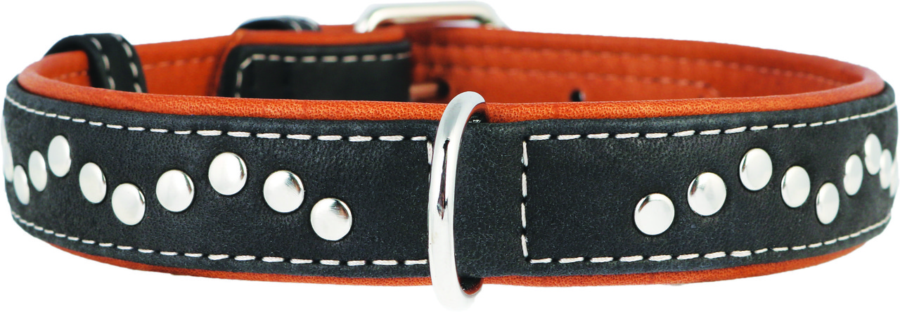 Нашийник шкіра 38-49 см 25 мм із прикрасами Soft Collar для собак, фото 1