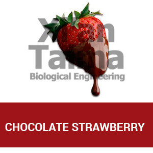 Xi'an Taima "Chocolate Strawberry"