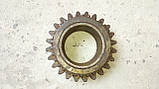 Шестірня Т-150 (151.37.046-2) z=24 старого зразка, фото 2